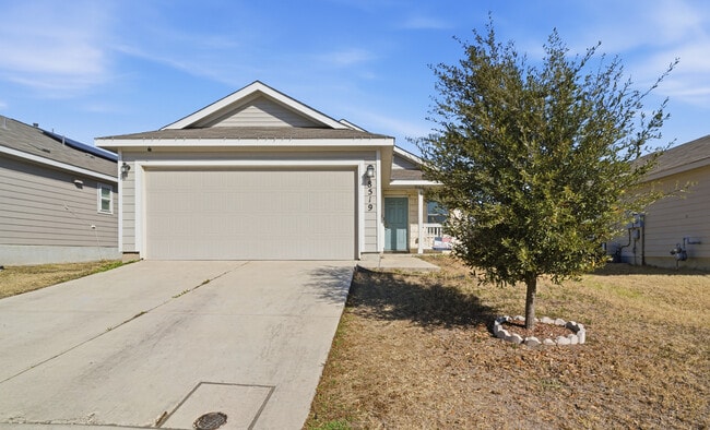 property at 8519 Cassia Cv