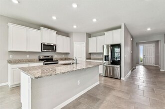 33870 Field Maple Lp in Wesley Chapel, FL - Foto de edificio - Building Photo