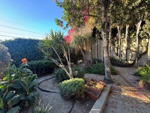 2907 Knox Ave in Los Angeles, CA - Building Photo - Building Photo