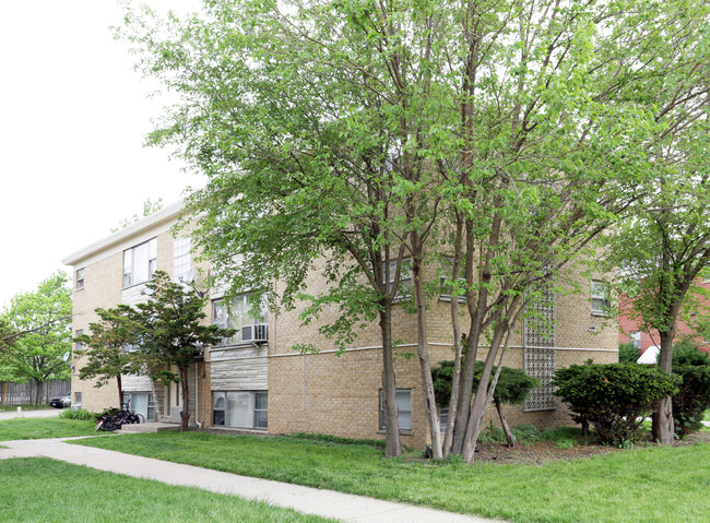 528 S Michigan Ct in Addison, IL - Foto de edificio - Building Photo