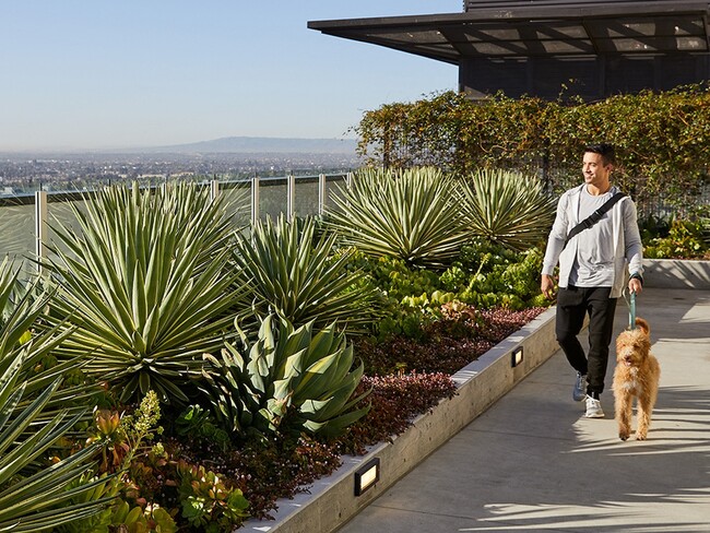 Sentral DTLA at 732 S. Spring in Los Angeles, CA - Building Photo - Building Photo