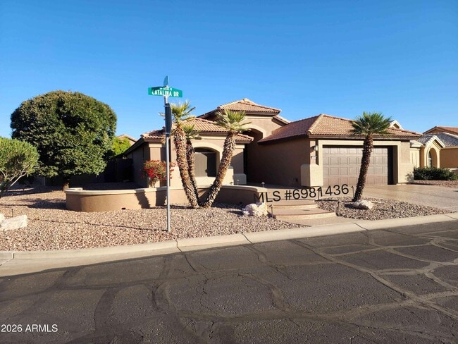 15548 W Catalina Dr in Goodyear, AZ - Building Photo - Building Photo