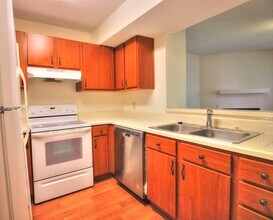3700 Chimney Ridge Pl in Durham, NC - Building Photo - Building Photo