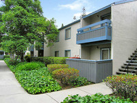 The Gate Apartments photo'