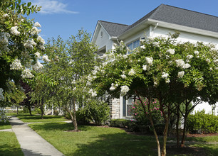 Pointe At Wimbledon in Greenville, NC - Building Photo - Building Photo