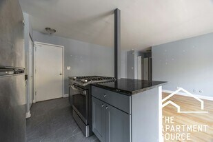 667 W Grace St in Chicago, IL - Building Photo