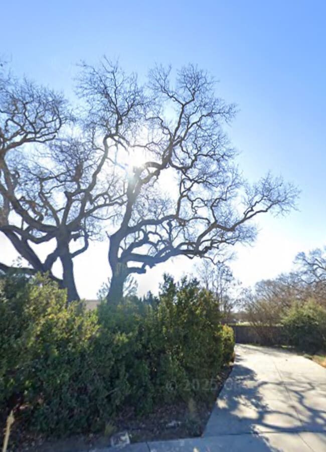 1510 Plumas Ct in Paso Robles, CA - Building Photo - Building Photo