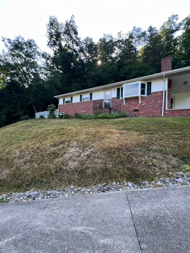 property at 4012 Woodward Drive