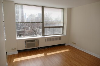 1460 N Sandburg Terrace in Chicago, IL - Building Photo - Building Photo