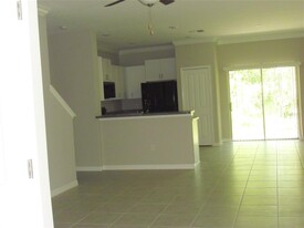 13286 Dupree Hills Pl in Riverview, FL - Foto de edificio - Building Photo