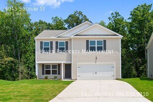 6045 Sodium St in Raleigh, NC - Building Photo