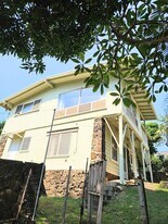 1523 Thurston Ave in Honolulu, HI - Building Photo