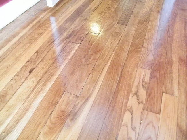 302 NW 13th Ave in Gainesville, FL - Building Photo - Building Photo