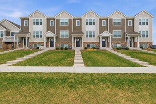 217 Goldenrod Dr in Elgin, IL - Building Photo