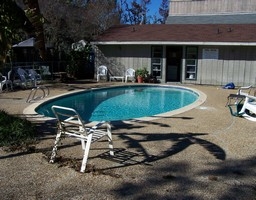 Castine Cove Apartments in Mandeville, LA - Building Photo - Building Photo