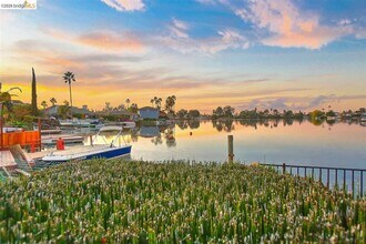 5545 Drakes Ct in Discovery Bay, CA - Building Photo - Building Photo