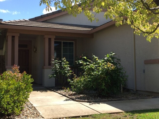 1204 Newmark Way in Folsom, CA - Building Photo - Building Photo