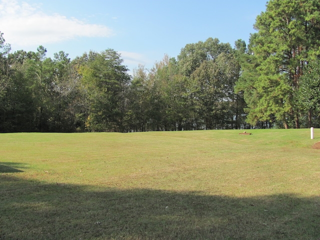 1425 W Antioch Rd in Springville, TN - Building Photo - Building Photo