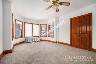 1315 Race St in Kalamazoo, MI - Building Photo - Building Photo