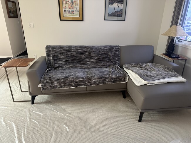 property at 15 Farewell Ave