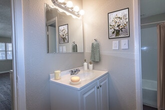 The Jackson Apartments in Lubbock, TX - Building Photo - Building Photo