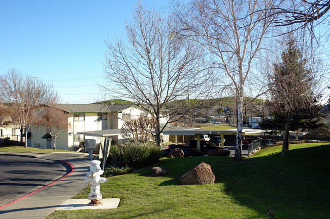 Willows in Vacaville, CA - Foto de edificio - Building Photo