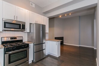 46 E Chicago Ave in Chicago, IL - Building Photo - Building Photo