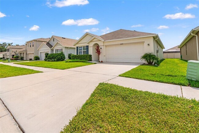 34044 Sorrel Mint Dr in Wesley Chapel, FL - Building Photo - Building Photo