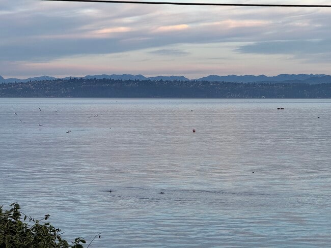 9876 SE Southworth Dr, Unit Basement Apartment