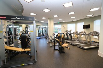 1060 Borghese Ln, Unit Aversana Unit 804 in Naples, FL - Building Photo - Building Photo