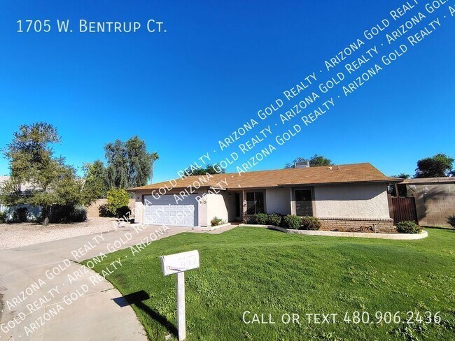 1705 W Bentrup Ct in Chandler, AZ - Building Photo - Building Photo