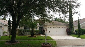 13523 White Elk Loop in Tampa, FL - Building Photo