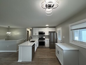 117 S Willow Ln in Glenwood, IL - Building Photo - Building Photo