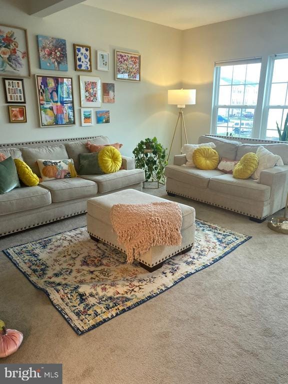 505 Tifton Ln in Coatesville, PA - Building Photo - Building Photo