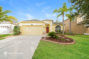 20221 Still Wind Dr in Tampa, FL - Building Photo