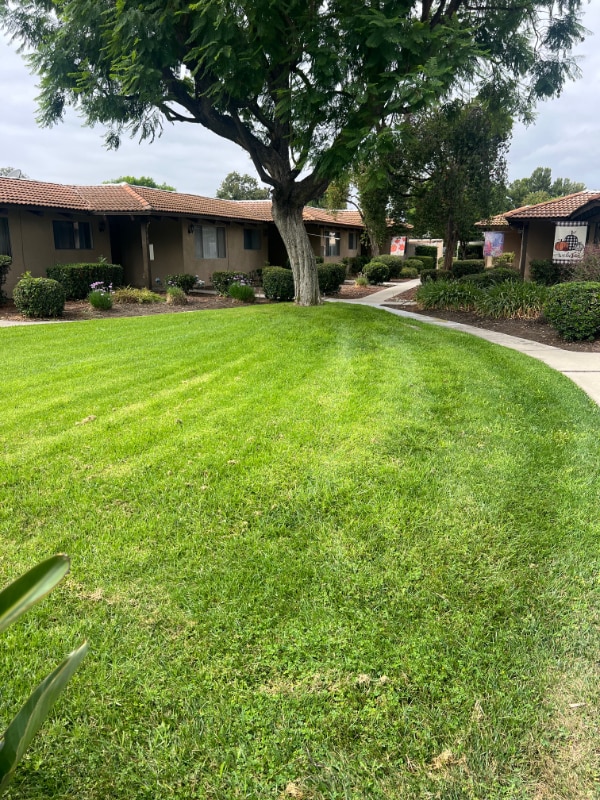 145 N Cambridge Ave in Claremont, CA - Foto de edificio - Building Photo
