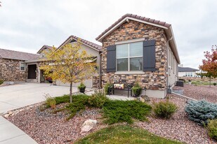 2025 Zenato Ct in Colorado Springs, CO - Building Photo