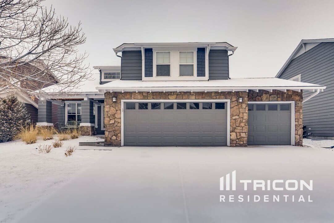 4683 Charing Ct in Castle Rock, CO - Building Photo