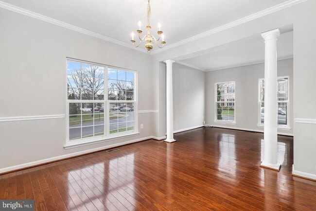 14204 Murphy Terrace in Gainesville, VA - Building Photo - Building Photo