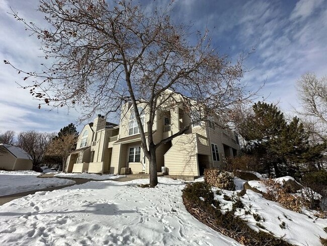 979 S Miller St in Lakewood, CO - Building Photo - Building Photo