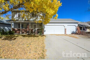 1459 Cattail Dr in Loveland, CO - Building Photo