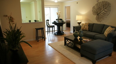 Waterford Place (Student Housing) in Athens, GA - Foto de edificio - Building Photo