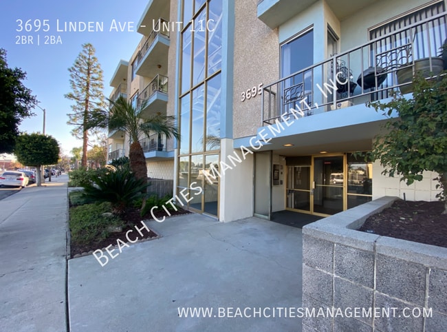 3695 Linden Ave in Long Beach, CA - Building Photo - Building Photo