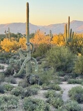 36601 Mule Train Rd, Unit Apt 1305 in Carefree, AZ - Foto de edificio - Building Photo