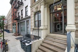 239 West 20th St. in New York, NY - Building Photo - Building Photo