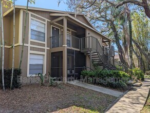 14211 Shadow Moss Ln in Tampa, FL - Building Photo - Building Photo