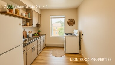 292 Birmingham St in St. Paul, MN - Building Photo - Building Photo