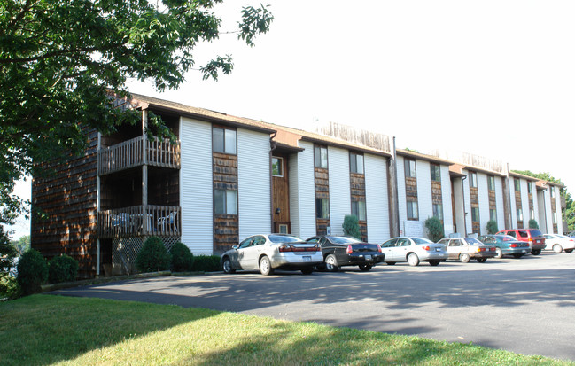 Ivy Terrace Apartments in Endicott, NY - Building Photo - Building Photo