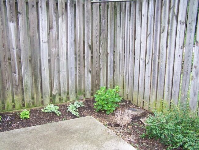 2000 Larimer St in Knoxville, TN - Building Photo - Building Photo