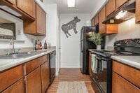 Winchester Place photo'